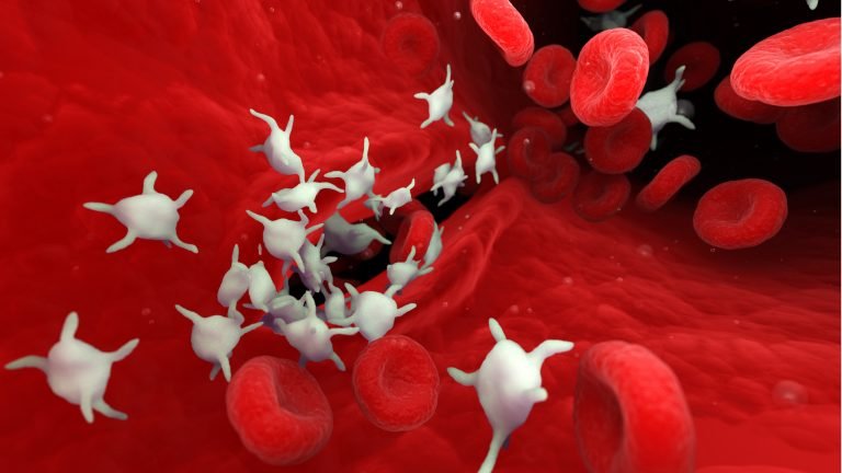 Human Platelet Antigens